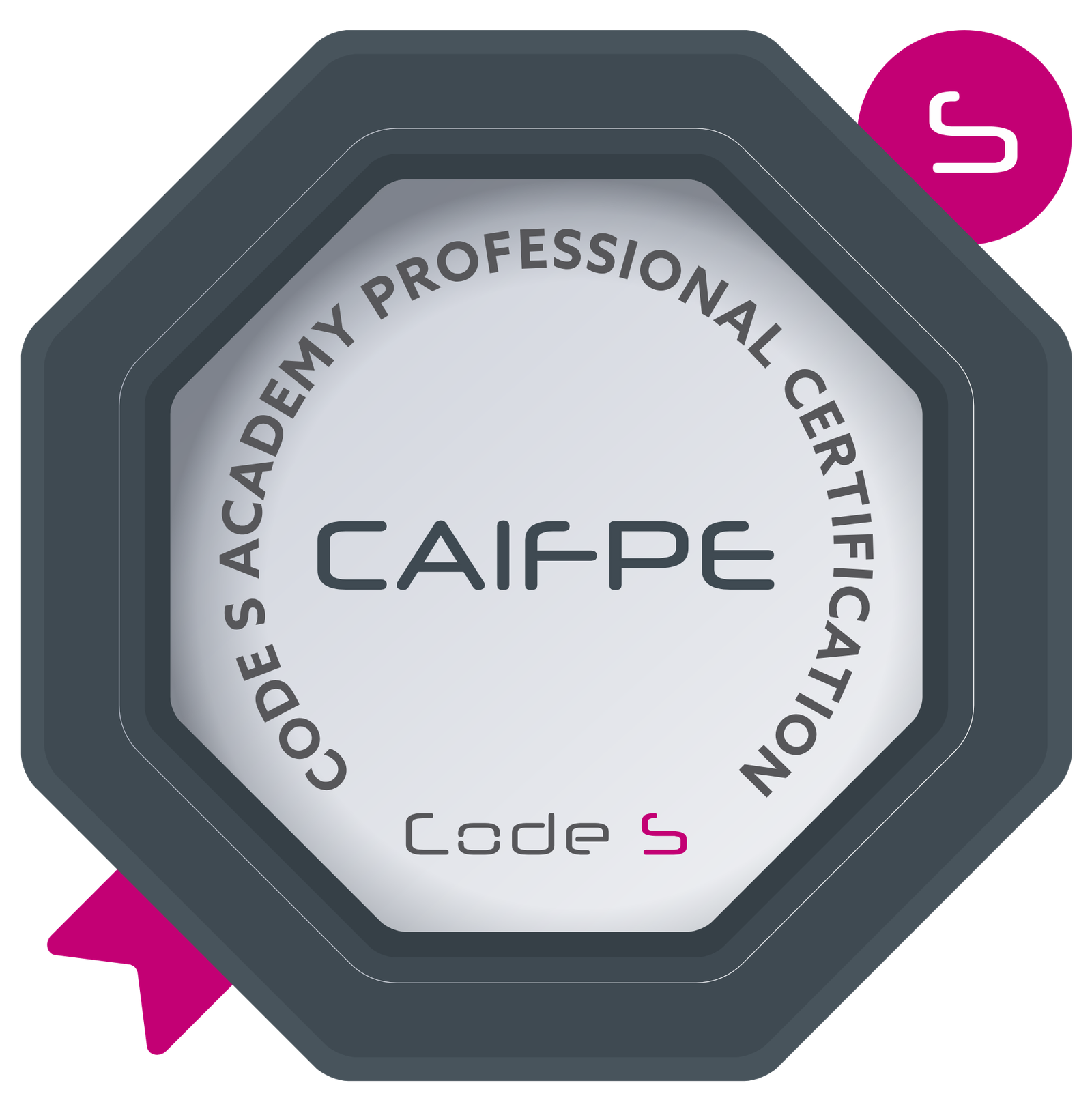 Certified AI FlexPower Engineer (CAIFPE)